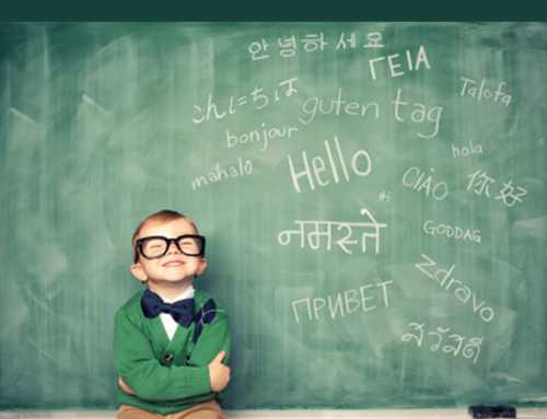 حدنصاب تراز دعوت به مصاحبه دکتری مدیریت آموزشی