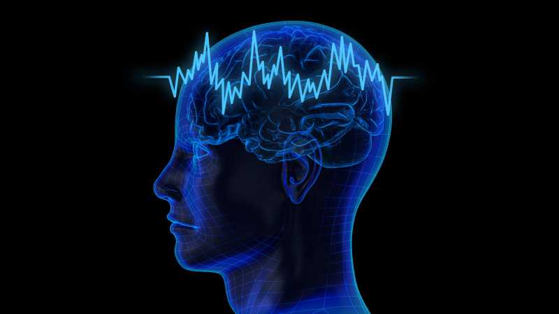 حدنصاب تراز دعوت به مصاحبه دکتری علوم شناختی