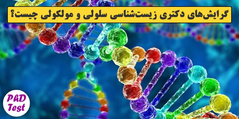 گرایش های دکتری زیست شناسی ﺳﻠﻮلی و ﻣﻮﻟﻜﻮلی