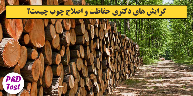 گرایش های دکتری مهندسی صنایع چوب و فرآورده‌های سلولزی ـ حفاظت و اصلاح چوب