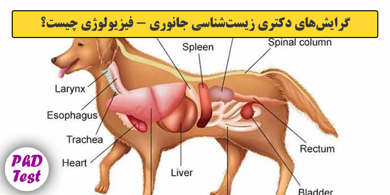 گرایش های دکتری زیست شناسی ﺟﺎﻧﻮری ـ ﻓﻴﺰﻳﻮﻟﻮژی