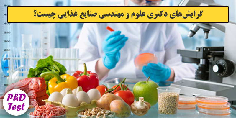 گرایش های دکتری علوم و مهندسی صنایع غذایی