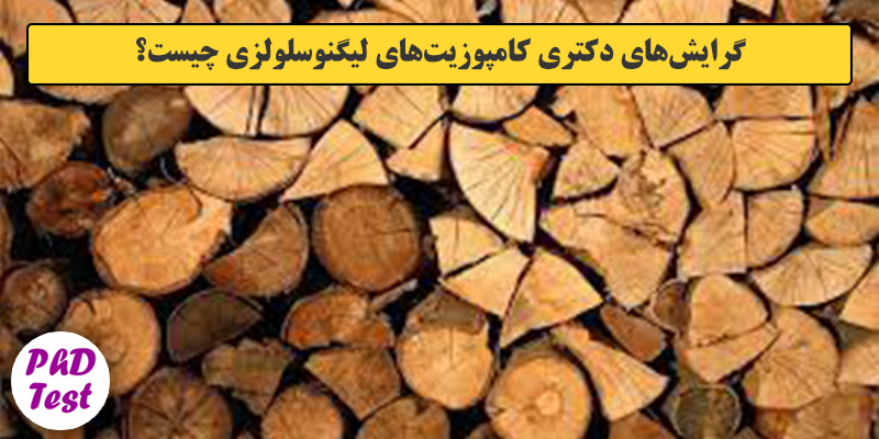 گرایش های دکتری مهندسی صنایع چوب و فرآورده‌های سلولزی ـ کامپوزیت‌های لیگنوسلولزی