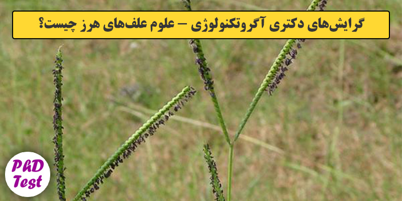 گرایش های دکتری آﮔﺮوﺗﻜﻨﻮﻟﻮژی ـ ﻋﻠﻮم ﻋﻠﻒﻫﺎی ﻫﺮز