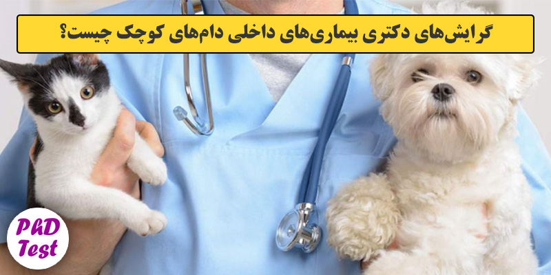 گرایش های دکتری ﺑﻴﻤﺎریﻫﺎی داخلی دامﻫﺎی ﻛﻮچک