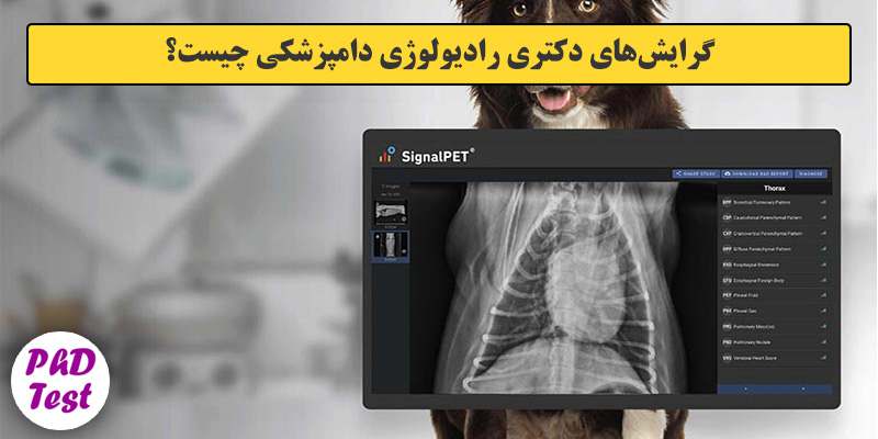 گرایش های دکتری رادﻳﻮﻟﻮژی داﻣﭙﺰشکی