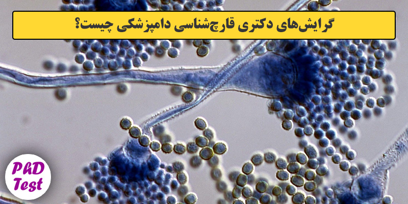 گرایش های دکتری قارچ شناسی